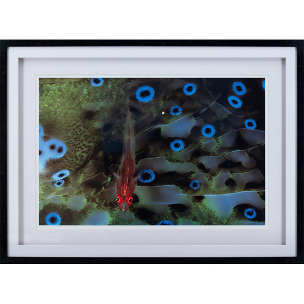 Statements by J Dotti Framed On Paper Print Wayfair Canada